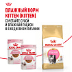 Royal Canin Persian Kitten Корм сухой сбалансированный для персидских котят (до 12 месяцев), 10 кг